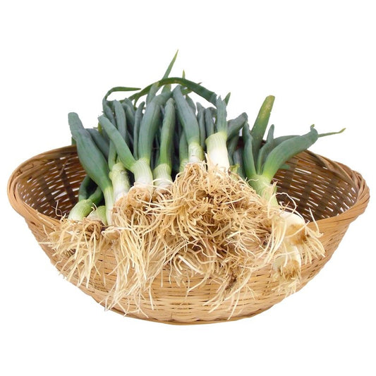 Zöldhagyma (csomag)